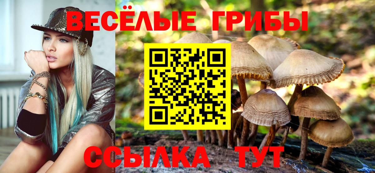 Псилоцибиновые грибы Psilocybine cubensis Елизово
